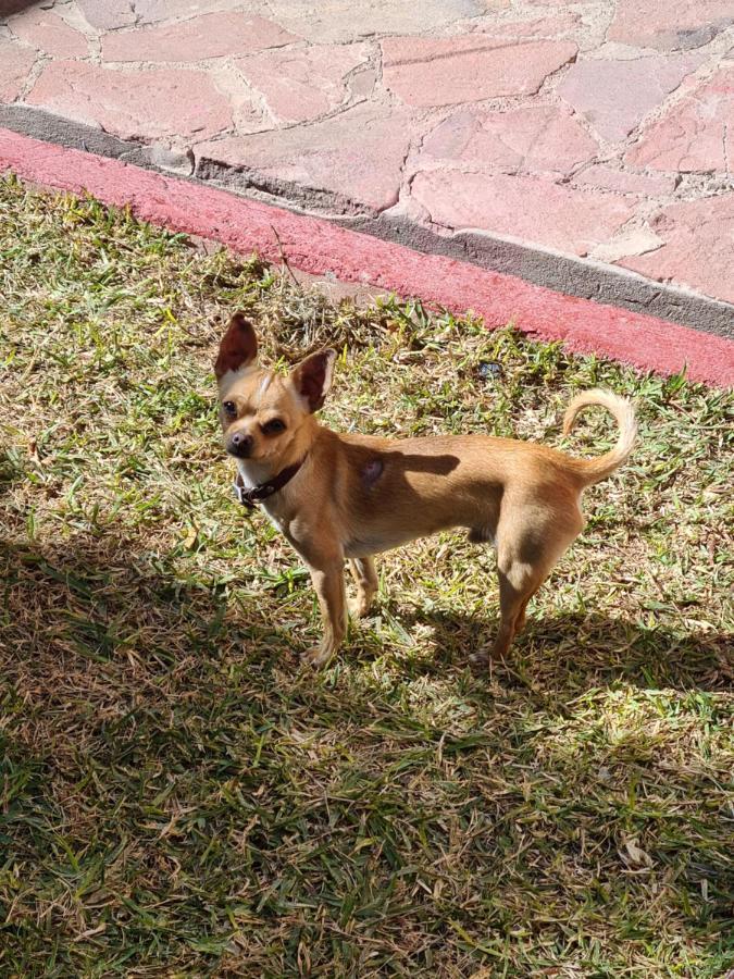 Hostal Ika Chihuahua Eksteriør billede